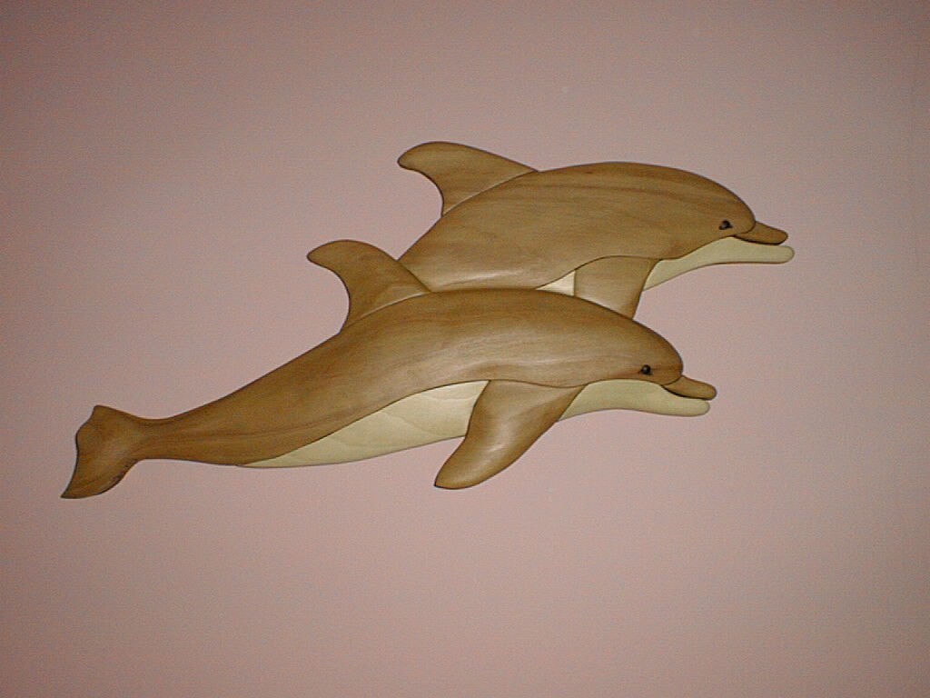 Dolphins